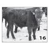 Image 1 : Lot - 16