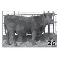 Lot - 26 (High Performer)