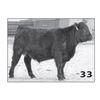 Image 1 : Lot - 33