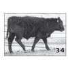 Image 1 : Lot - 34