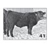 Image 1 : Lot - 41