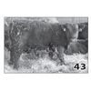 Image 1 : Lot - 43 (High Performer)