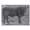 Image 1 : Lot - 52