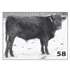 Image 1 : Lot - 58