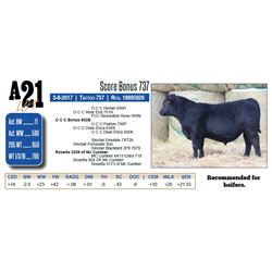 Score Bonus 737