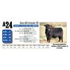 Image 1 : Score 405 Fortunate 729