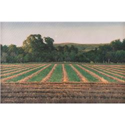 Dan Dernovich, oil on canvas