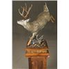 Image 8 : Sam Terakedis, bronze