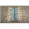 Image 1 : Blackfeet Beaded Man's Leggings