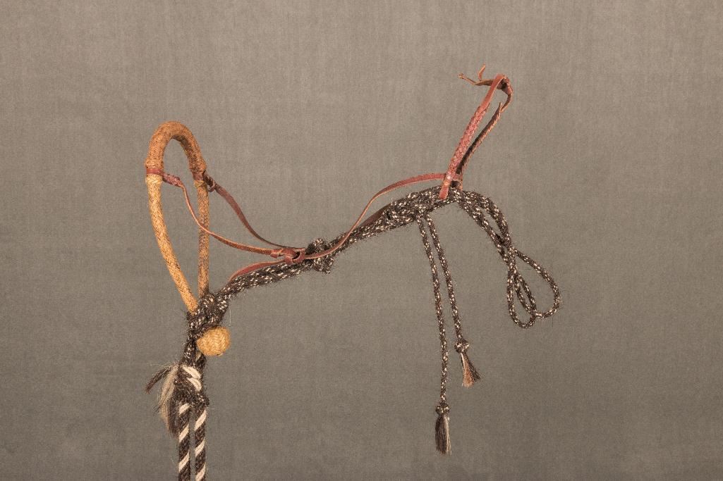 Luis B. Ortega (1897-1995) Braided Rawhide Bosal and Blind Bob ...