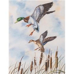 Bob Kercher, watercolor