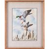 Image 2 : Bob Kercher, watercolor