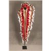 Image 1 : Indian Headdress