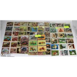 LOT OF 6 SLEEVES OF COLLECTABLE CARDS