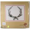 Image 1 : DEER ANTLER SHED WALL DECORATION