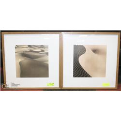 SET OF 2 WOOD FRAMED SAND DUNE
