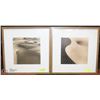 Image 1 : SET OF 2 WOOD FRAMED SAND DUNE