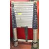 Image 1 : TELESCOPING EXTENSION LADDER, 16 RUNGS,