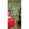 Image 1 : 6 FOOT ARTIFICIAL TREE IN WICKER BASKET