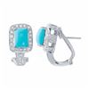 Image 1 : 14KT White Gold 2.35ctw Turquoise and Diamond Earrings
