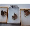 Image 1 : THREE AMMONITE PENDANTS