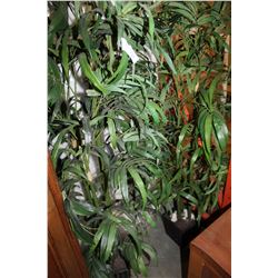 THREE FIVE FOOT SILK PLANTS