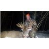 Image 3 : WISCONSIN YOUTH WHITETAIL