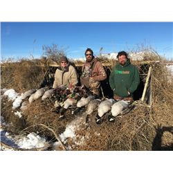 NEBRASKA DUCK & GOOSE FOR 2