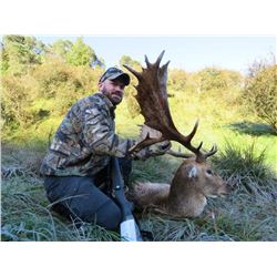 NEW ZEALAND FALLOW BUCK HUNT WITH RED STAG CREDIT FOR 1 HUNTER & 1 NON-HUNTER