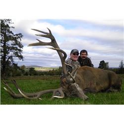 SCOTTISH RED STAG WITH AIRFARE