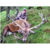 Image 3 : SCOTTISH RED STAG WITH AIRFARE