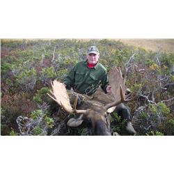 NEWFOUNDLAND MOOSE & BLACK BEAR