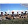 Image 8 : WYOMING YOUTH ANTELOPE