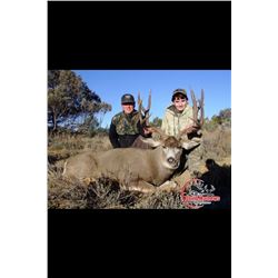 ARIZONA ARCHERY MULE DEER
