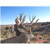Image 3 : ARIZONA ARCHERY MULE DEER