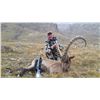 Image 1 : RUSSIA MID-CAUCASIAN TUR HUNT FOR 1 HUNTER
