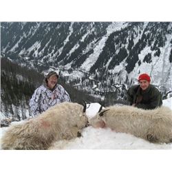 10 DAY 1X1 MOUNTAIN GOAT FOR 1 HUNTER