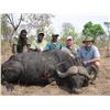 Image 7 : ZIMBABWE NON-TROPHY BULL ELEPHANT CULL SAFARI