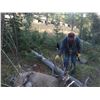 Image 2 : MONTANA MULE DEER HUNT FOR 2 HUNTERS
