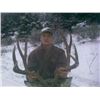 Image 4 : MONTANA MULE DEER HUNT FOR 2 HUNTERS
