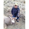 Image 5 : MONTANA MULE DEER HUNT FOR 2 HUNTERS