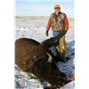 Image 1 : SOUTH DAKOTA BISON HUNT FOR 1 HUNTER & 1 OBSERVER