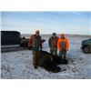 Image 3 : SOUTH DAKOTA BISON HUNT FOR 1 HUNTER & 1 OBSERVER