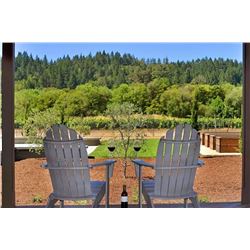 HEALDSBURG ELITE RETREAT-WINE TASTING, DINNER, PRIVATE TOUR, 3 NIGHT STAY FOR 4