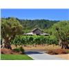 Image 2 : HEALDSBURG ELITE RETREAT-WINE TASTING, DINNER, PRIVATE TOUR, 3 NIGHT STAY FOR 4