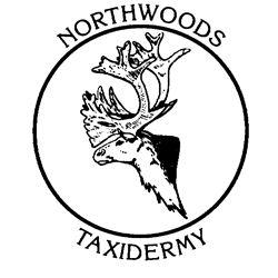 TAXIDERMY LIFE SIZE GRIZZLY/BROWN BEAR - $5,500