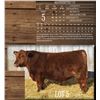 Image 1 : SRJJ PACESETTER 7157