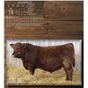 Image 1 : SRJJ PACESETTER 7145