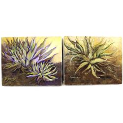 2 Original Oil Agave Paintings by Savarese