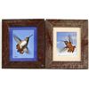 Image 1 : 2 Framed Hummingbird Photographs by Wachholz